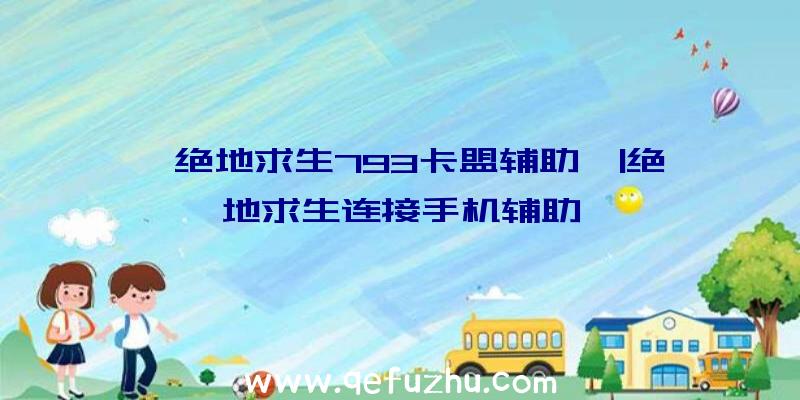 「绝地求生793卡盟辅助」|绝地求生连接手机辅助